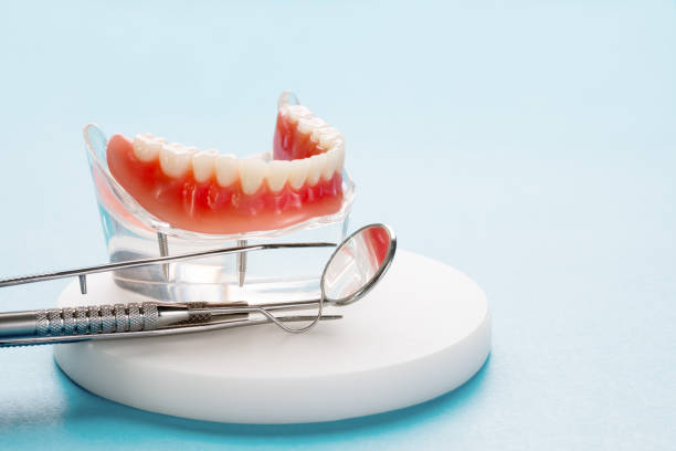Best Dental Exams and Cleanings  in Narberth, PA